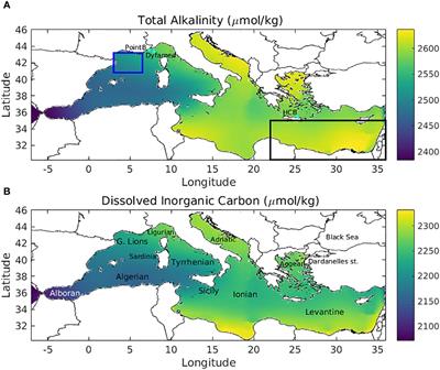 Carbonate system variability in the Mediterranean Sea: a modelling study